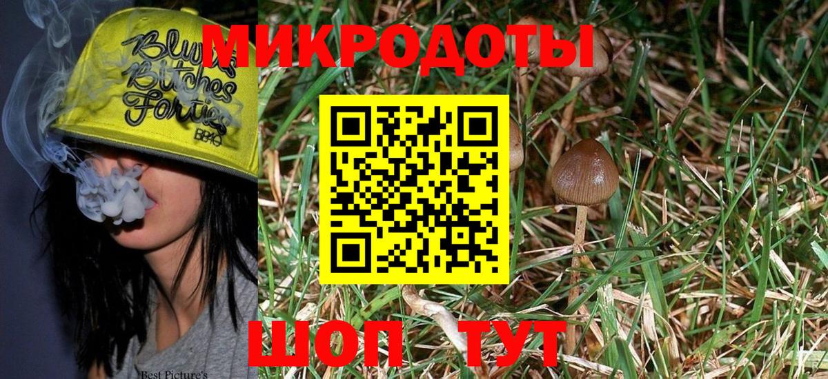Псилоцибиновые грибы Psilocybe  Вход с VPN  Скопин 